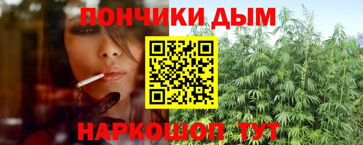 Шишки марихуана Bruce Banner Чистополь